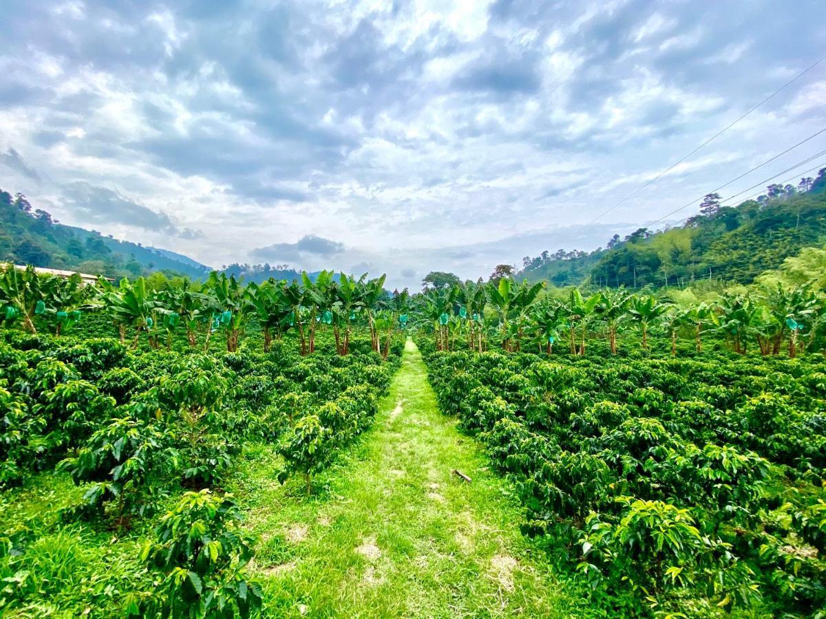 Hacienda Venecia Coffee Farm Hotel Manizales Buitenkant foto
