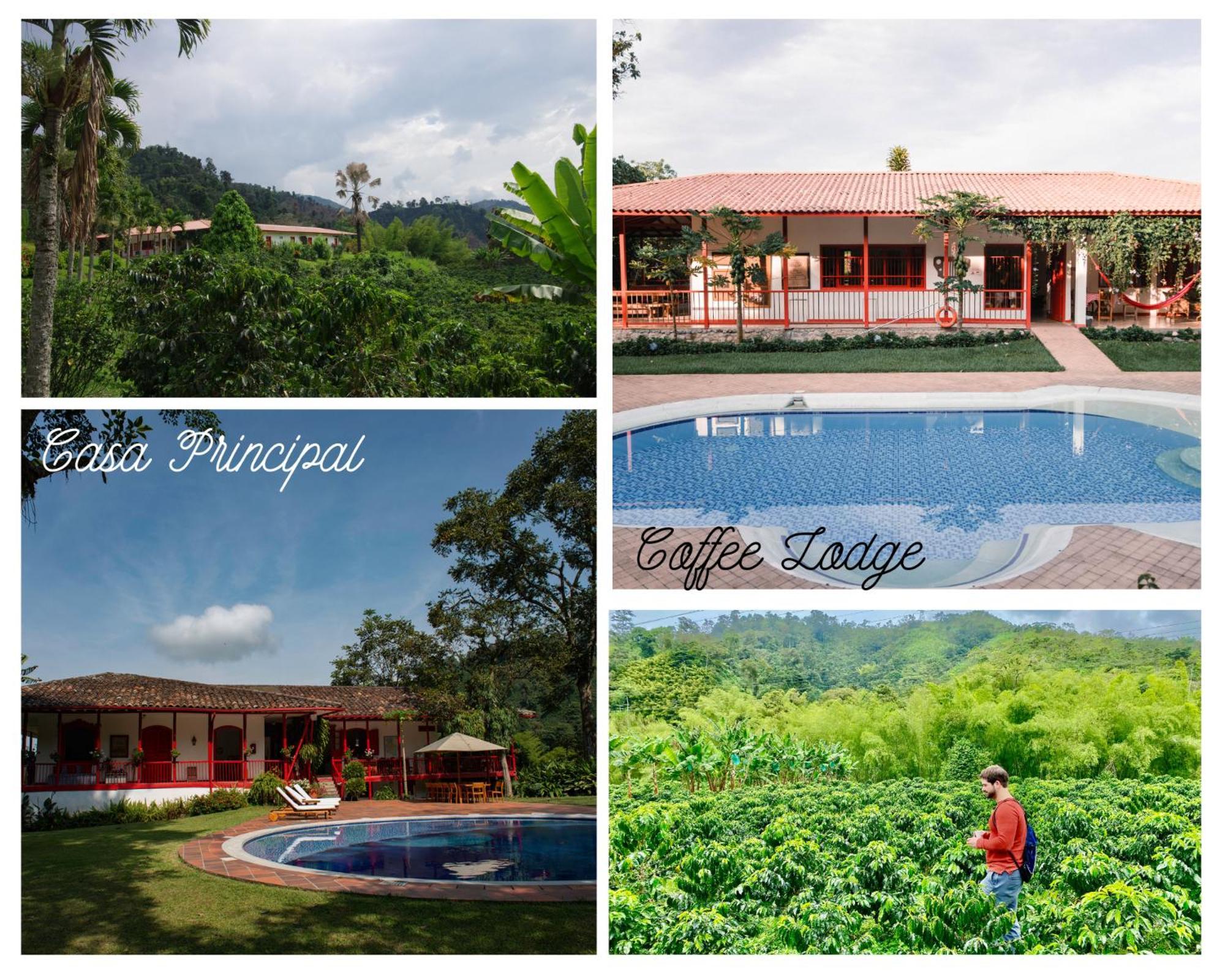 Hacienda Venecia Coffee Farm Hotel Manizales Buitenkant foto