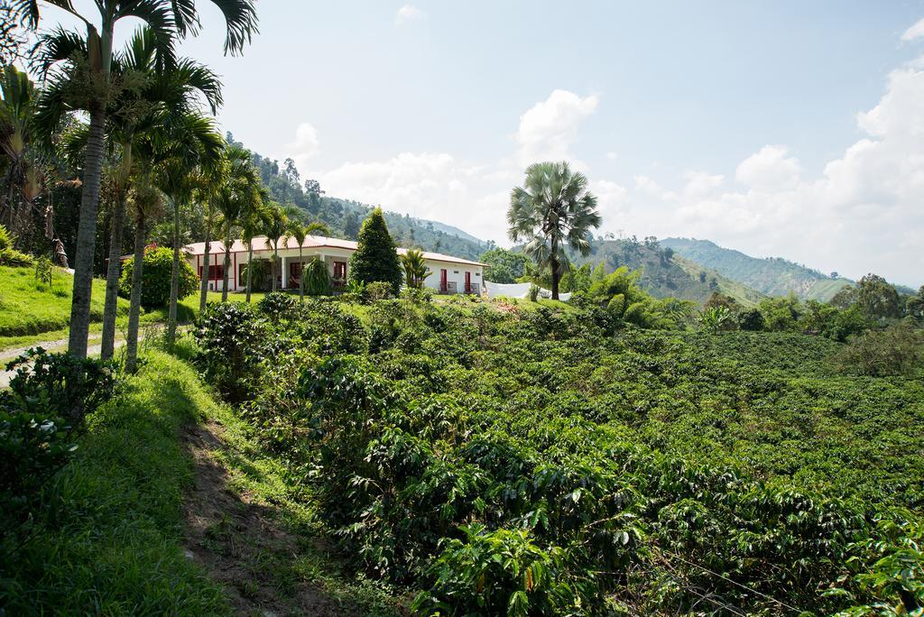 Hacienda Venecia Coffee Farm Hotel Manizales Kamer foto